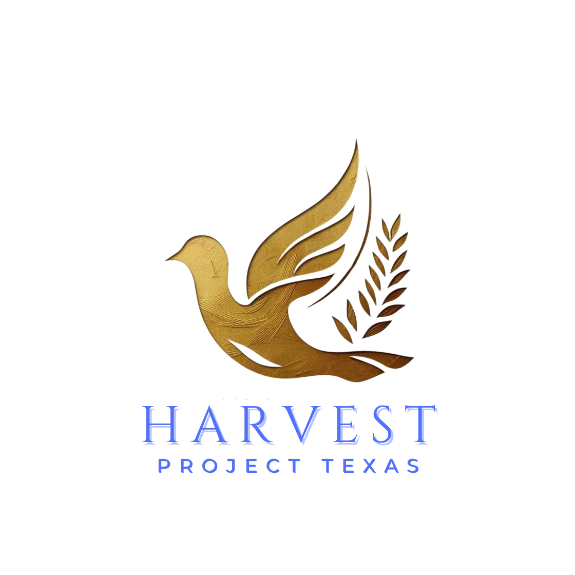 The Harvest Project Texas